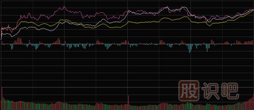 怎樣看<a href=http://www.123cyq.com/GPRM/sy/1798.html target=_blank class=infotextkey>大盤</a>和股票的分時(shí)走勢(shì)圖