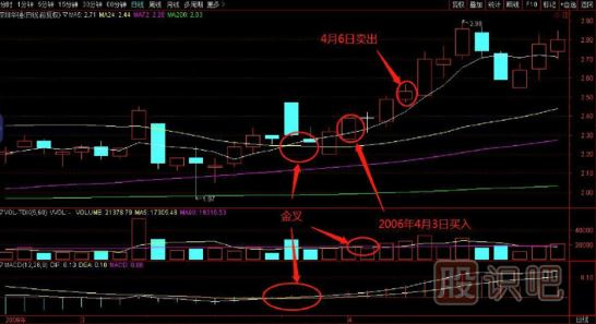 如何在逆勢中選擇上漲的個股？